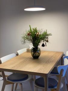 Fotografia z galérie ubytovania Luxusní Apartmán u sjezdovek s garáží v destinácii Harrachov
