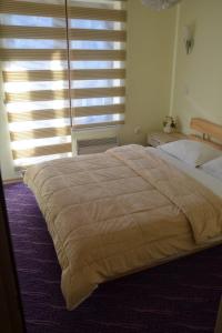 Ένα ή περισσότερα κρεβάτια σε δωμάτιο στο Apartman DADA, KOPAONIK Centar