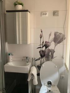 a bathroom with a toilet and a sink and a mirror at ÁRPÁDHÁZ in Kecskemét