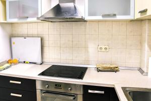 Kuchyň nebo kuchyňský kout v ubytování Apartman LUI