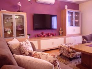 TV a/nebo společenská místnost v ubytování Apartment in Jasenice 35406