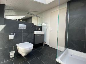een badkamer met een toilet, een wastafel en een douche bij Ferienhaus Relax in Schwarzsee