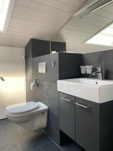 a bathroom with a toilet and a sink at Ferienhaus Relax in Schwarzsee