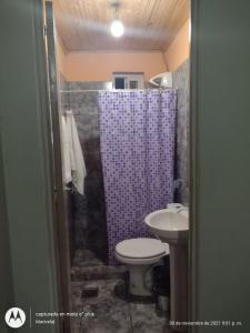 a bathroom with a sink and a toilet and a shower at jazmin apart iguazu in Puerto Iguazú