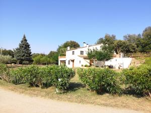 a house on a hill with a bunch of bushes at La Rajoleria para desconectar. Lloguer 30. in Llagostera