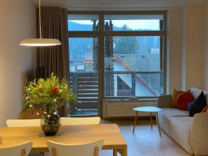 Posedenie v ubytovaní Luxusní Apartmán u sjezdovek s garáží