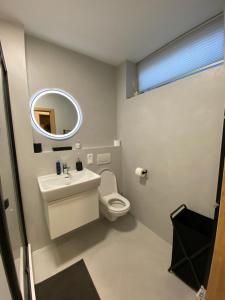 bagno con servizi igienici, lavandino e specchio di Luxusní Apartmán u sjezdovek s garáží a Harrachov