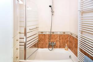 Koupelna v ubytování Apartman LUI + 17 fotografií