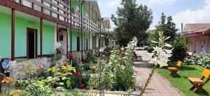 Zahrada ubytování Casa Bucuria Henri Coanda