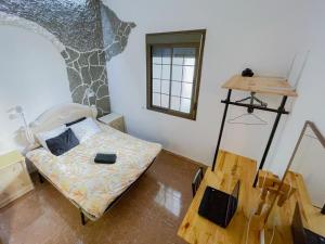 Gallery image of Drago Hostel in Icod de los Vinos