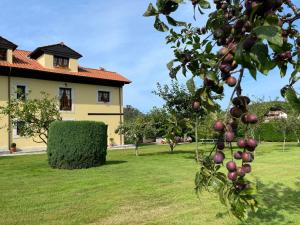 an apple tree in front of a house at Casa de Aldea El Frade in Camango