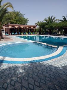 - une grande piscine dans un complexe avec des palmiers dans l'établissement Tahnaout Multiservices, à Tahannaout
