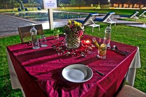 Praveg Tent City Narmada, Statue of Unity外面的花园