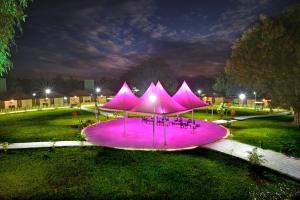 Praveg Tent City Narmada, Statue of Unity外面的花园