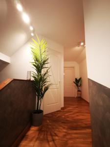 a hallway with a plant in the middle of a room at Pintes 38 A in Dunaújváros