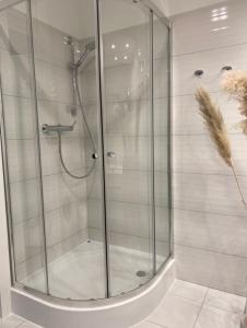 kabina prysznicowa ze szklanymi drzwiami w łazience w obiekcie Ultra Apartments Kamienica Nova w Szczecinie