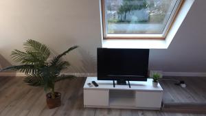 a flat screen tv sitting on a white cabinet with a plant at Ferienwohnung an der Kurklinik in Bad Driburg