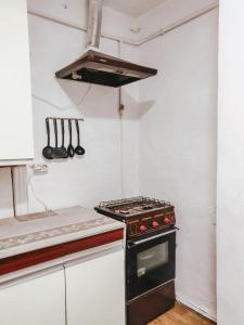 een keuken met een kookplaat en een oven bij ДіВо in Bohuslav