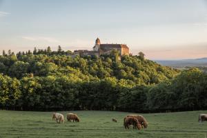 un allevamento di animali che pascolano in un campo con un castello su una collina di Burg Bernstein a Bernstein