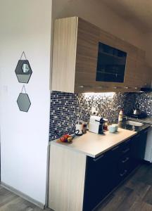 Kuchyň nebo kuchyňský kout v ubytování Apartmán Domov Děčín