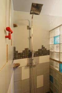 ein Bad mit einer Dusche mit einem Duschkopf in der Unterkunft Gîte Du Cheval De Renfort in Ohis
