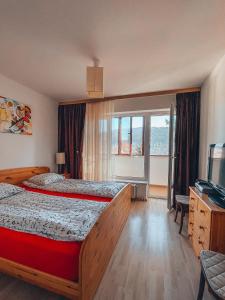 a bedroom with a large bed and a television at Sebiana in Buşteni