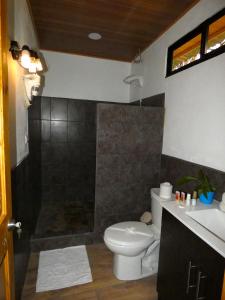 a bathroom with a white toilet and a shower at Tapiru's House - Bahia Drake in Drake