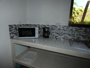 a kitchen counter with a microwave and a sink at Tapiru's House - Bahia Drake in Drake