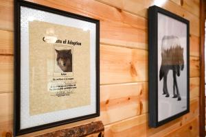 Fotografie z fotogalerie ubytování Cozy Broken Bow Cabin, Walk to the Lukfata Creek! v destinaci Broken Bow