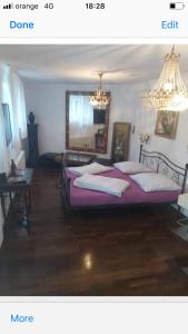 1 dormitorio con cama y lámpara de araña en anastasia 3, en Mediaş