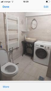 a bathroom with a toilet and a washing machine at anastasia 3 in Mediaş