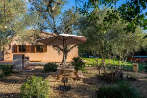 Zahrada ubytování Villa Toni i María