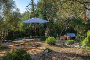 Zahrada ubytování Villa Toni i María
