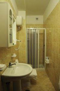 聖塔·馬里亞·迪·卡斯特的住宿－新索尼亞酒店，一间带水槽和淋浴的浴室