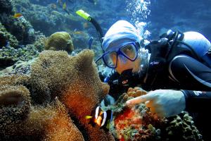 Ospiti di Stingray Beach Inn