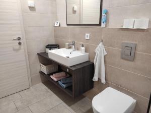 ein Bad mit einem Waschbecken und einem WC in der Unterkunft Apartment Lana in Izola