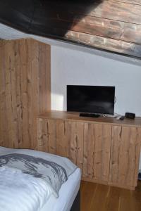 Telewizja i/lub zestaw kina domowego w obiekcie Andys Bergjuwel