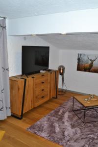 Telewizja i/lub zestaw kina domowego w obiekcie Andys Bergjuwel