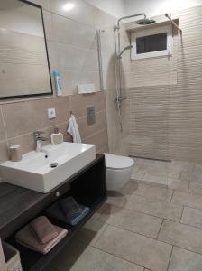 ein Bad mit einem Waschbecken, einem WC und einer Dusche in der Unterkunft Apartment Lana in Izola