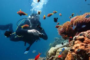 Ospiti di Stingray Beach Inn