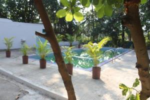 Zahrada ubytování Ivy Maitri Farm 3 Bhk with Private Pool - Badlapur