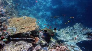 Ospiti di Stingray Beach Inn