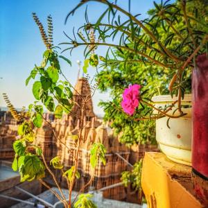una pianta in vaso con un castello sullo sfondo di Mud Mirror Guesthouse a Jaisalmer