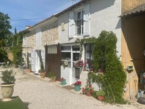 a house with potted plants on the side of it at Appt 2 pieces dans Mas provençal in Roquemaure