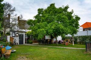 a house with a tree in the yard at B&B De Kreek in Graauw