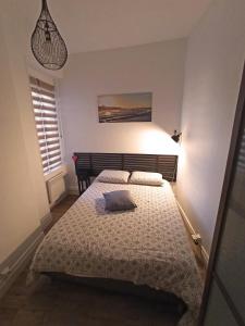 una camera da letto con un letto con un cuscino sopra di Bel appartement indépendant centre de Magny-Cours avec parking a Magny-Cours