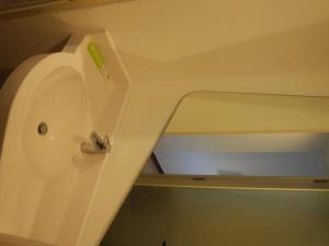 美娜多的住宿－萬鴉老普里大頂級酒店，浴室设有水槽和绿刷