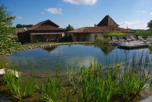 a large pond in front of a house at Le Hameau des Coquelicots in Damazan