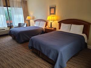 מיטה או מיטות בחדר ב-The Mountaineer Inn - Asheville