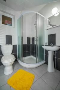 a bathroom with a shower and a toilet and a sink at Apartmani Jokic in Zlatibor